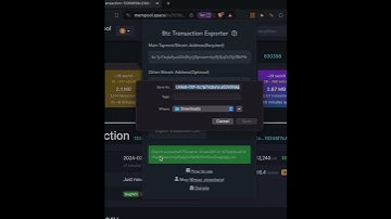 How to use Btc Transaction Exporter