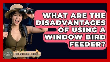 What Are The Disadvantages Of Using A Window Bird Feeder? - Bird Watching Diaries