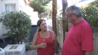 How a Pool Circulation System Works