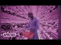 Can Vertical Farms Fix the Future of Food?