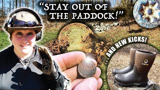 We Found OLD COINS In The PADDOCK! Metal Detecting A COLONIAL FARM | Minelab MANTICORE | Stef Digs