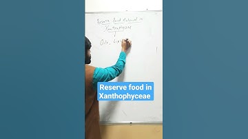 Reserve food in Xanthophyceae