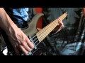 Nightwish -  Endless Forms Most Beautiful Bass Cover