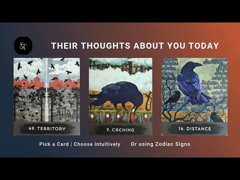 THEIR THOUGHTS ABOUT YOU TODAY 🩷
