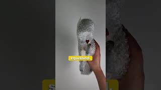 Pack our first Breyer order! - Pinehaven Ponies
Pack this Breyer horse order with me! Big thank you to Nicole for being our first customer ♥
This video is family friendly.
#Breyer #packing #packingorders #breyerhorses #abigailpinehaven #PinehavenPonies Pack our first Breyer order! - Pinehaven Ponies