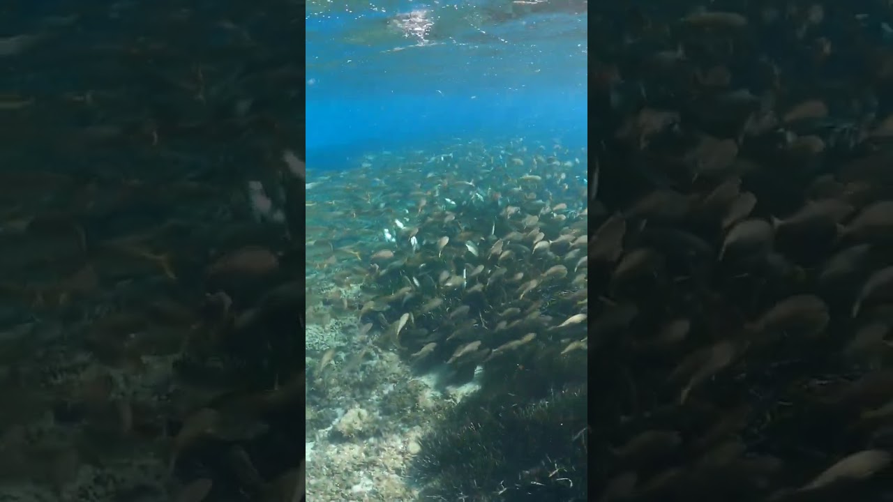 calanques de sormiou Marseille