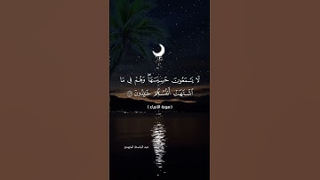 #quran #اكسبلور #تلاوة_خاشعة #لايك #قرآن #راحة_نفسية #duet #دويتو #تيك_توك #حالات_واتس