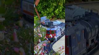 Garden Freight Train Winding Along The Path