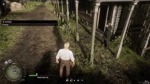 Codex Studios : Trust Level Redm Script