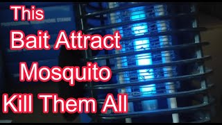 How Attract and Kill Mosquito By using this Bait Attract Get Rid Mosquito Fast