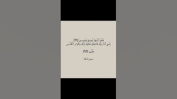 سورة طه #explore #اكسبلور #quran #لايك #quran_kareem #sabscribe #fypシ゚viral #fyp #القرآن_الكريم