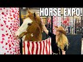 Equine affaire 2024 in ohio shopping demos horses  more