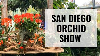 San Diego Orchid Show 2021 - San Diego Botanical Gardens World of Orchids