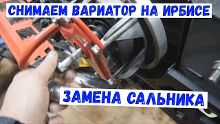 ЗАМЕНА САЛЬНИКА НА ИРБИСЕ .How to Replace an Irbis Oil Seal: The Shockingly Simple Trick!