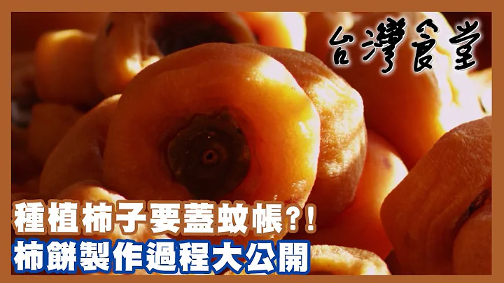 種植柿子要蓋蚊帳?! 柿餅製作過程大公開｜24節氣食材故事《台灣食堂》 - 天天要聞