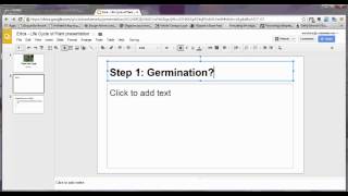Create a "Life Cycle of Plant" Google Slides Presentation