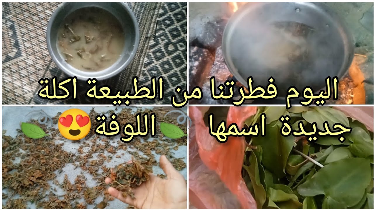  #غزة # إكسبلوار #الجزائر طريقة تحضير أطيب أكلة شعبية فلسطينية مفيدة وصحية (لوف).🍃😍 رمضان كريم 🌛