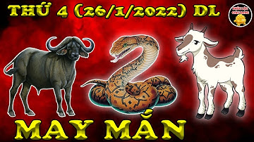 Tu Vi Hang Ngay, 3 Con Giáp, Được Tiết Lộ Thiên Cơ, Trúng Quả Trả Nợ, Đổi Vận Bất Ngờ.