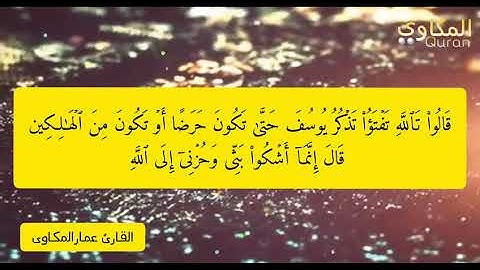 الشيخ عمار المكاوى جواب من سورة يوسف