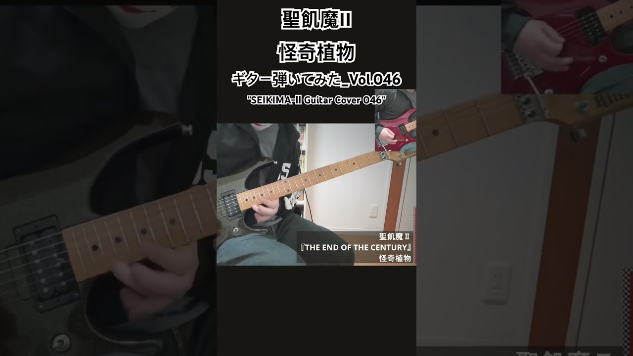 SEIKIMA-II Guitar Cover 046