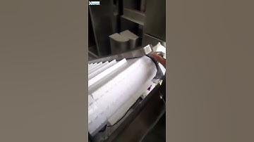 Automatic feeding conveying machine with counting system