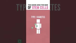 The Good And The Bad Of Stem Cells