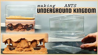 ANT FARM from CAKE CONTAINERS VERSION 2.0 | D colony