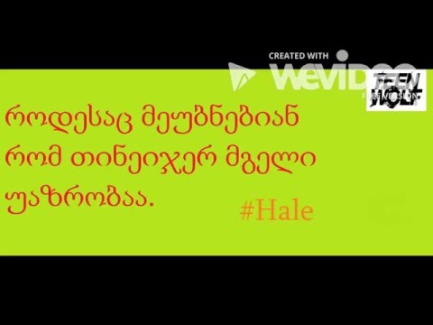 როდესაც მეუბნებიან რომ თინეიჯერი მგელი უაზრობაა
