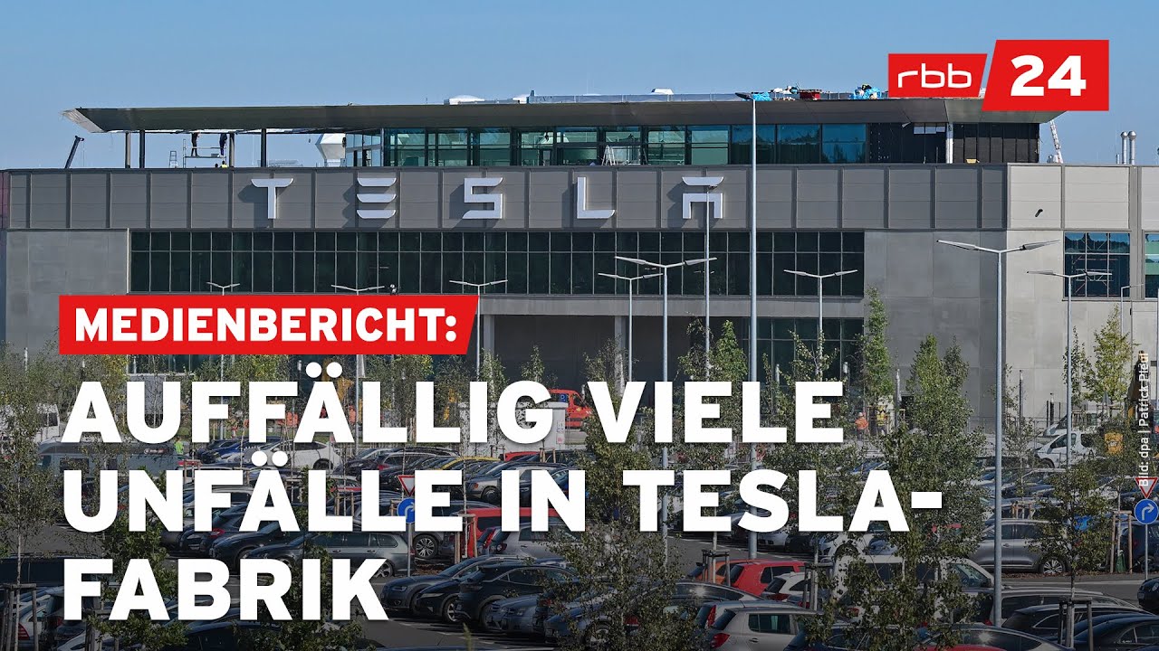 Protest gegen Ausbau von Tesla-Werk in Brandenburg: Waldstück besetzt | AFP