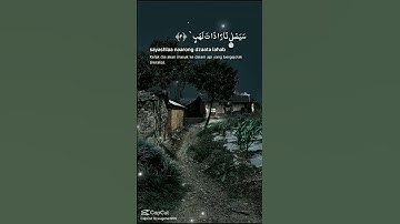 سوره المسد #المصحف #قران #اكسبلور #لايك#راحة_نفسية
