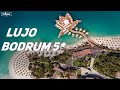 Lujo Bodrum 5* - обзор отеля в Бодруме, Турция