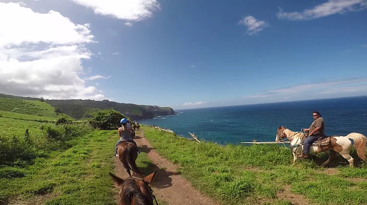 GOPR0218