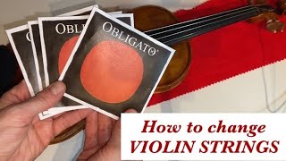 How to change violin stringsEasy tutorial: tips and recommendations. Pirastro Obligato E Gold