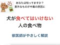 犬にあげてはいけない人の食べ物６選【獣医がやさしく解説】