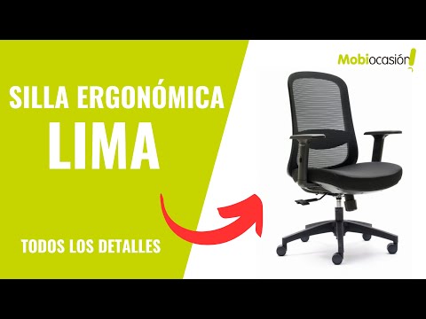 Silla ergonómica ANK