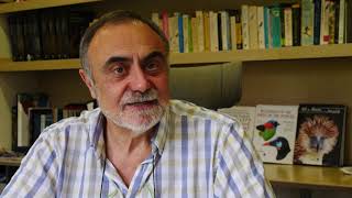Download Lagu All the Birds of the World - Lecture by Josep del Hoyo, 21 Aug 2020 at the Virtual British Birdfair MP3 Download Lagu All the Birds of the World - Lecture by Josep del Hoyo, 21 Aug 2020 at the Virtual British Birdfair MP3