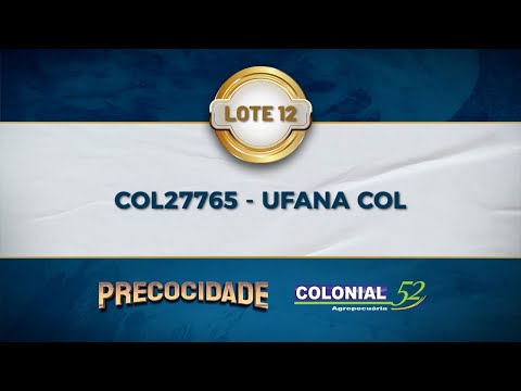 LOTE 12 COL 27765