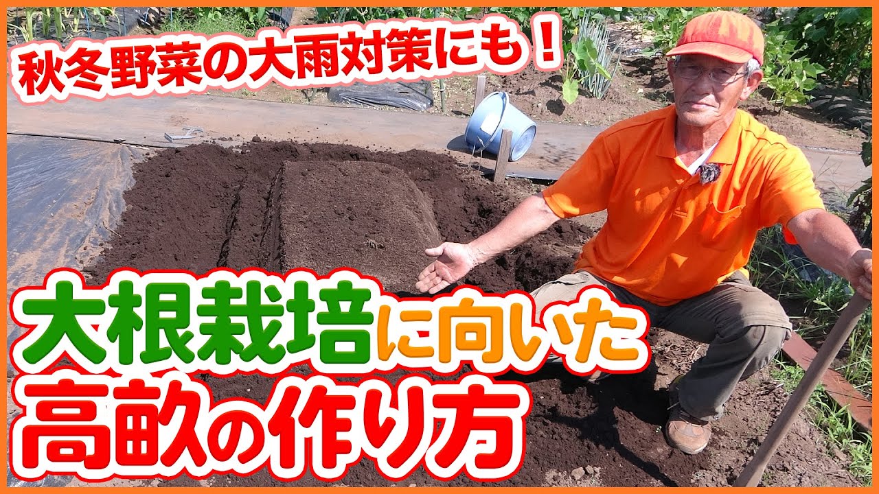 家庭菜園の秋冬野菜栽培で絶対覚えるべき 高畝の立て方 の簡単方法を徹底解説 大根栽培には土づくりとウネ立てから 農園ライフ Youtube