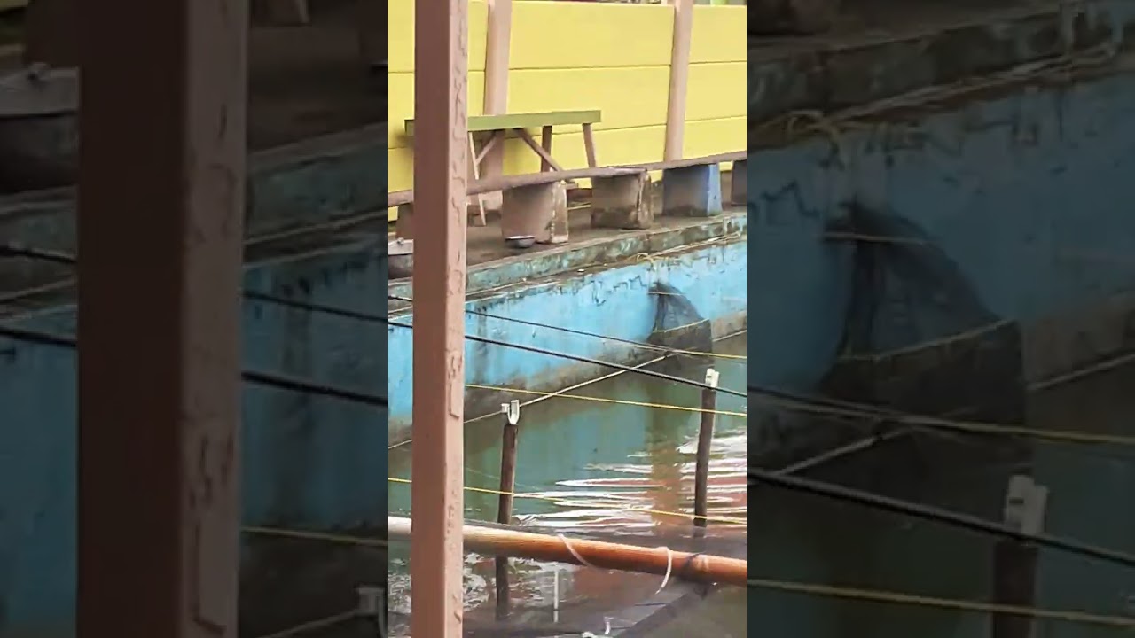 Pemancingan Manarap(1)