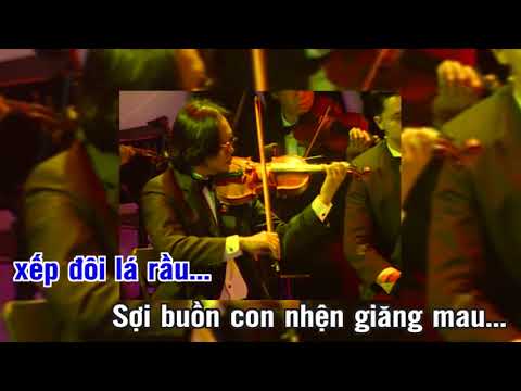 Ngậm Ngui Quang Dũng Trữ Tinh Phạm Duy Hay Youtube