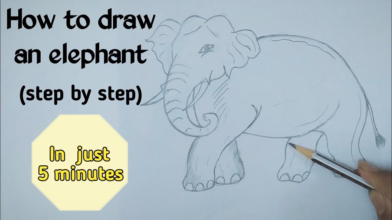 How to draw an elephant | Step by Step | pencil drawing | In 5 minutes ...