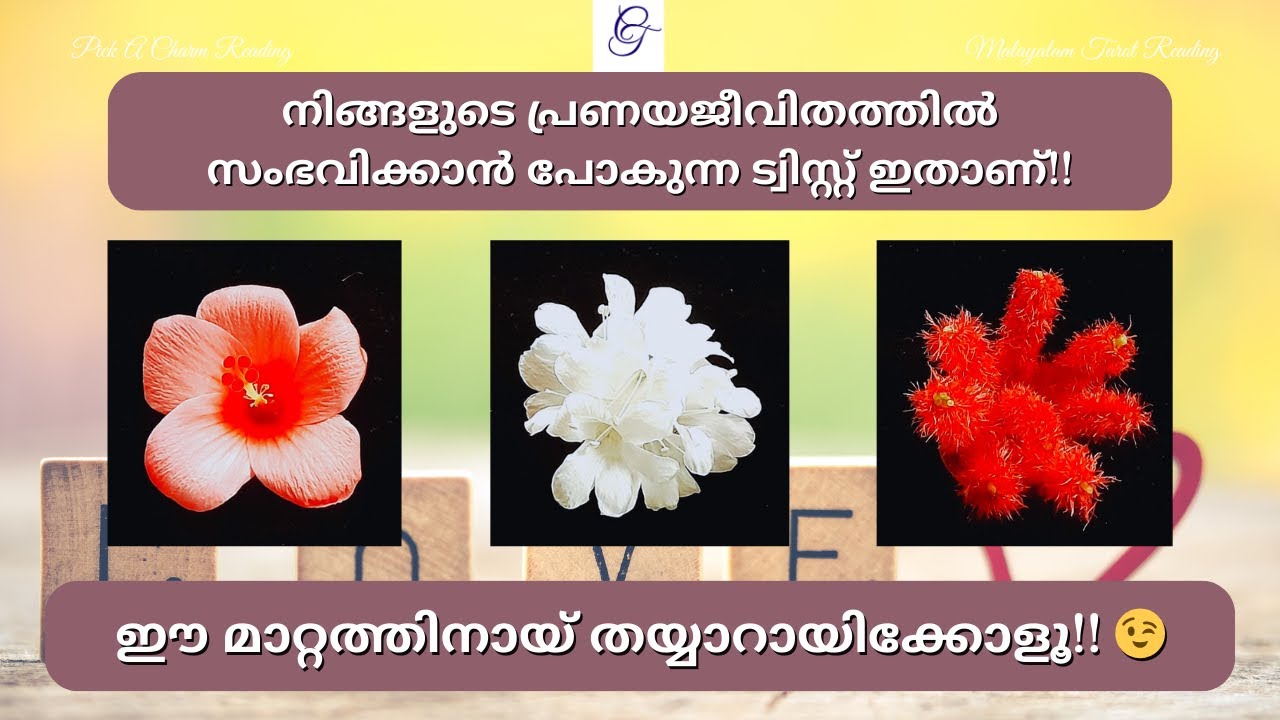 നിങ്ങളുടെ പ്രണയജീവിതത്തിൽ സംഭവിക്കാൻ പോകുന്ന ട്വിസ്റ്റ്‌ ഇതാണ്!|  #malayalamtarot #lovetarot