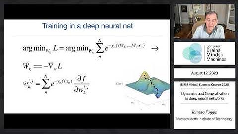 Dynamics and Generalization in deep neural networks