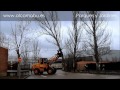 TALA DE CHOPOS. http://alcamabu.es/ DISEÃ‘O, CONSTRUCCIÓN Y MANTENIMIENTO DE JARDINES