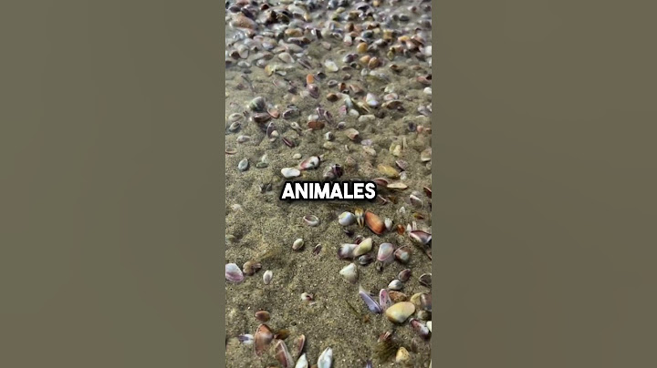 Ciclo de vida sorprendente de la almeja 🤔🦪 #shorts