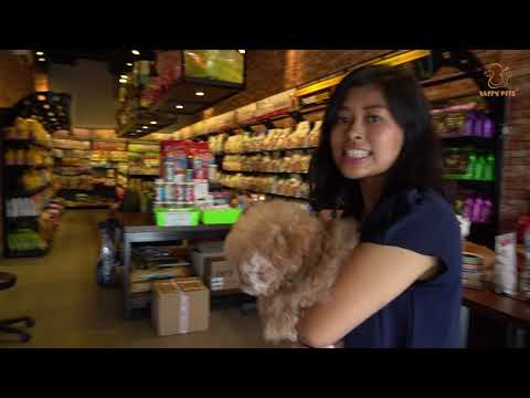 Video: Pemilik Anjing Menerima Penyelesaian Terbesar Dalam Sejarah AS Untuk Kematian Pet