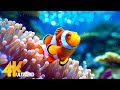 Aquarium 4K VIDEO (ULTRA HD) 🐠 Beautiful Coral Reef Fish - Relaxing Sleep Meditation Music