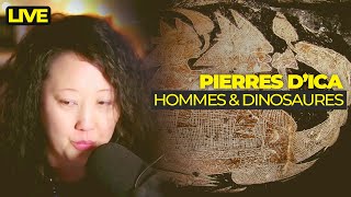 Pierres d'Ica 〣 Hommes & dinosaures