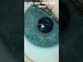 #music #newmusic #song #art #indie #eyes #fyp #fyp
