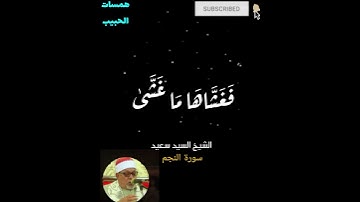 #تلاوة_خاشعة #سيد_سعيد #اكسبلور #المصحف #قرآن #دويتو #لايك #تيك_توك #duet #راحة_نفسية